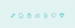 Delicate line icons for the Bridalgram website
