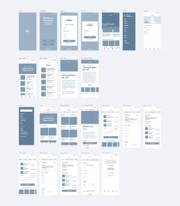 Wireframes of the Fizzdazzle mobile app